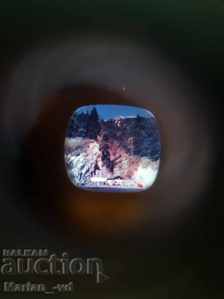 Delivery of Old plasticoscope with herbarium edelweiss on the screen Delivery of Old plasticoscope with herbarium edelweiss on the screen