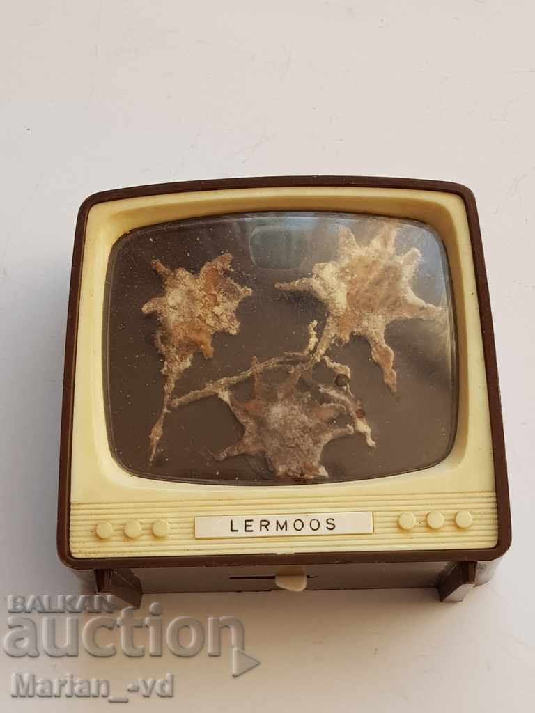 Old plastiscope with herbarium edelweiss on the screen