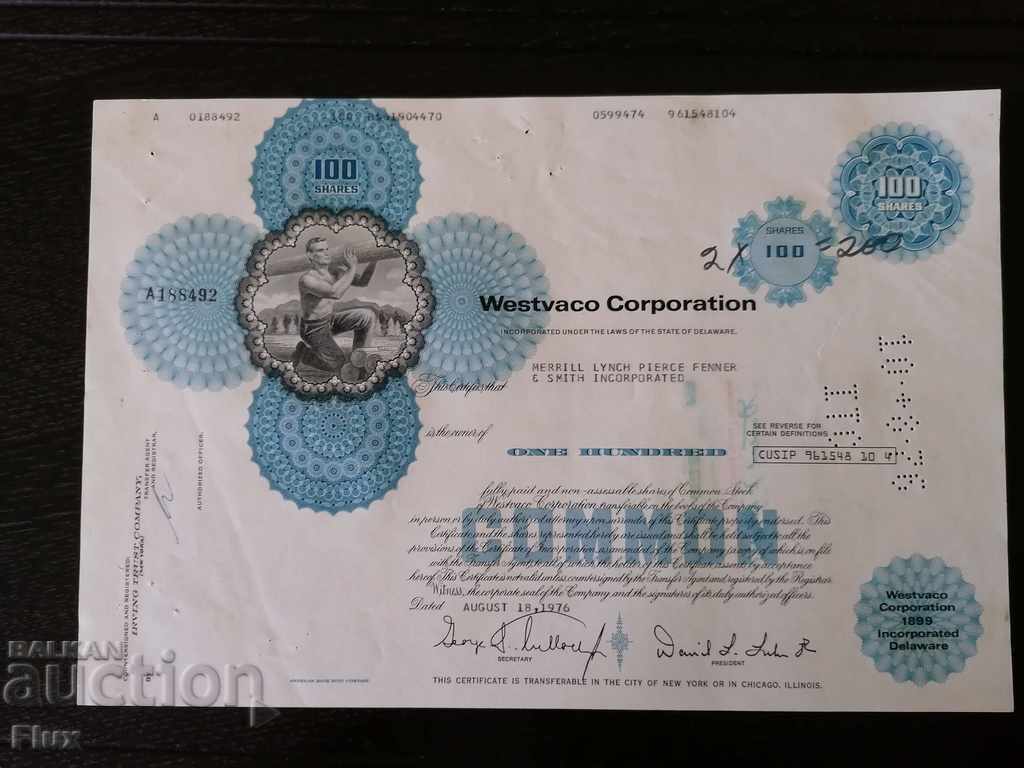Certificat de acționare Celuloză și hârtie din Virginia de Vest | 1976