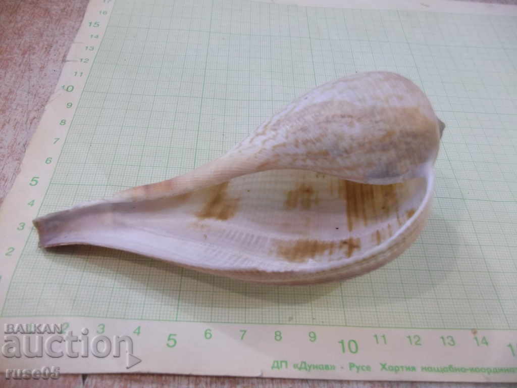 Sink - 17 with price 10.00 BGN | € 5.11 Sink - 17 with price 10.00 BGN | € 5.11