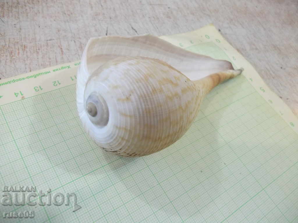 Delivery of Sink - 17 Delivery of Sink - 17