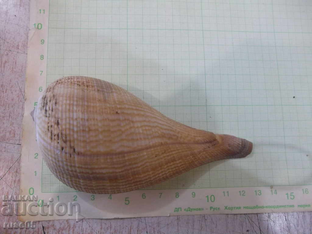 Sink - 17 - 5 Sink - 17 - 5