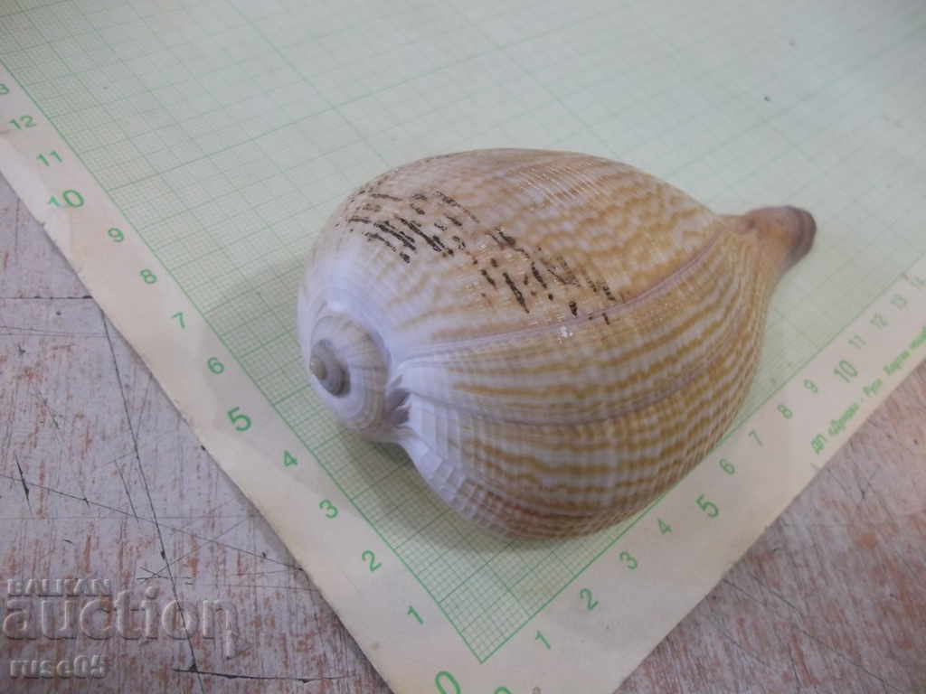 Sink - 17 - 6 Sink - 17 - 6