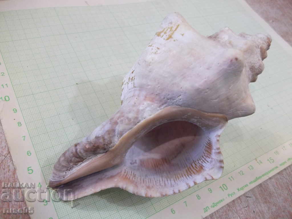 Sink - 18 with price 20.00 BGN | € 10.23 Sink - 18 with price 20.00 BGN | € 10.23