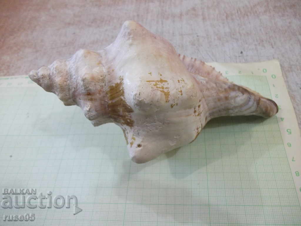 Delivery of Sink - 18 Delivery of Sink - 18