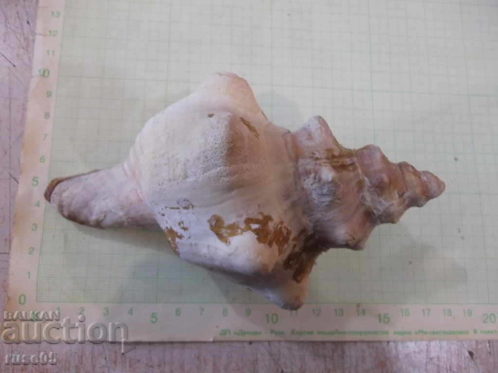 Sink - 18 - 5 Sink - 18 - 5