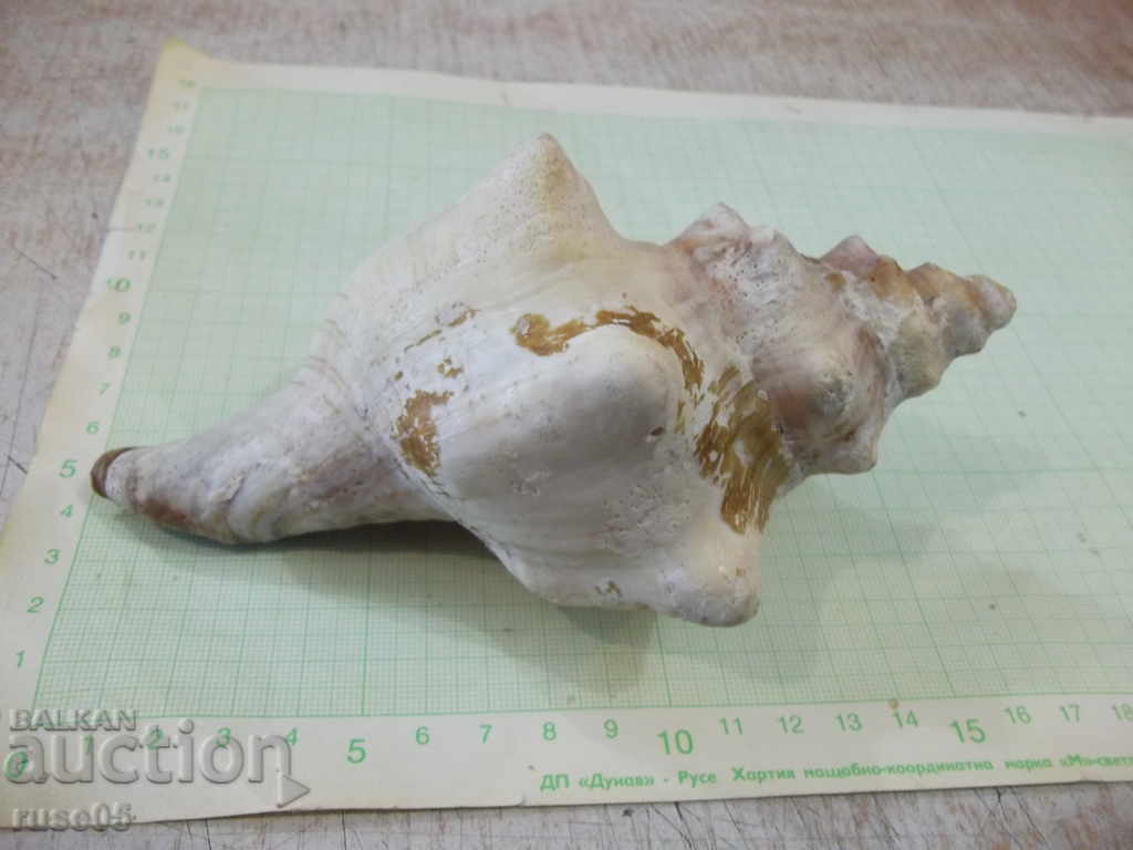 Sink - 18 - 6 Sink - 18 - 6