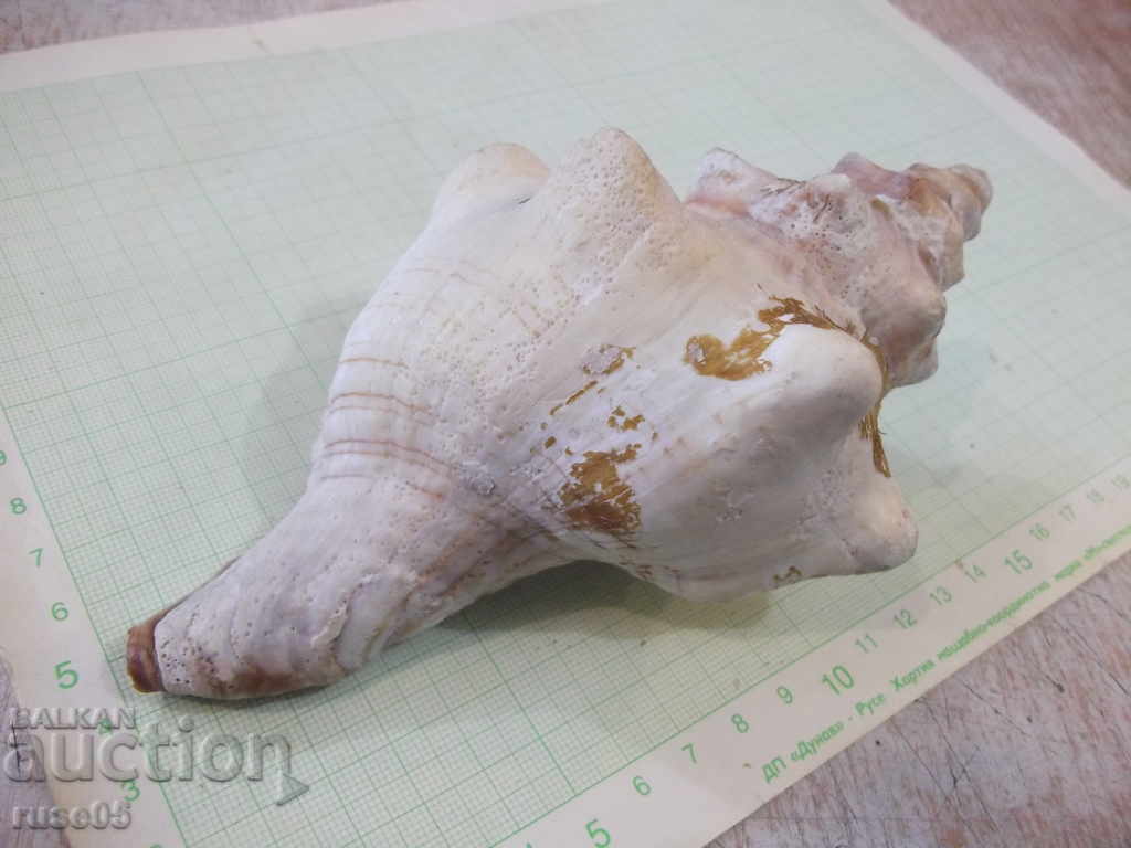 Sink - 18 - 7 Sink - 18 - 7