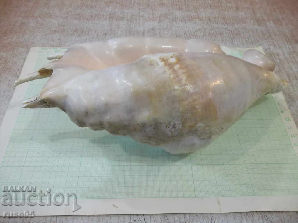 Delivery of Sink - 20 Delivery of Sink - 20