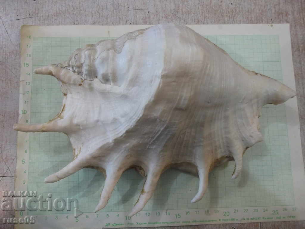 Sink - 20 - 5 Sink - 20 - 5