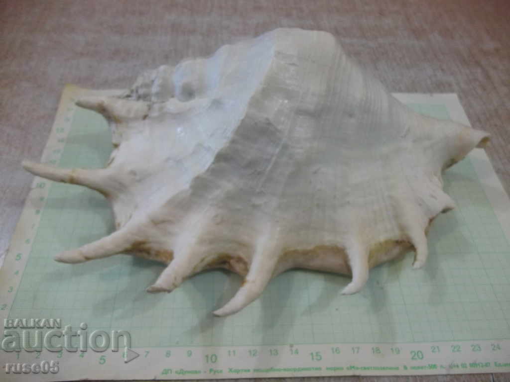 Sink - 20 - 6 Sink - 20 - 6