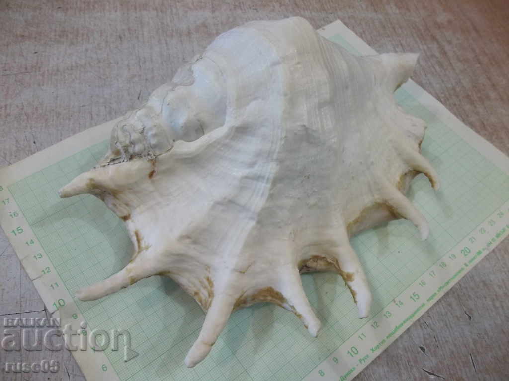 Sink - 20 - 7 Sink - 20 - 7