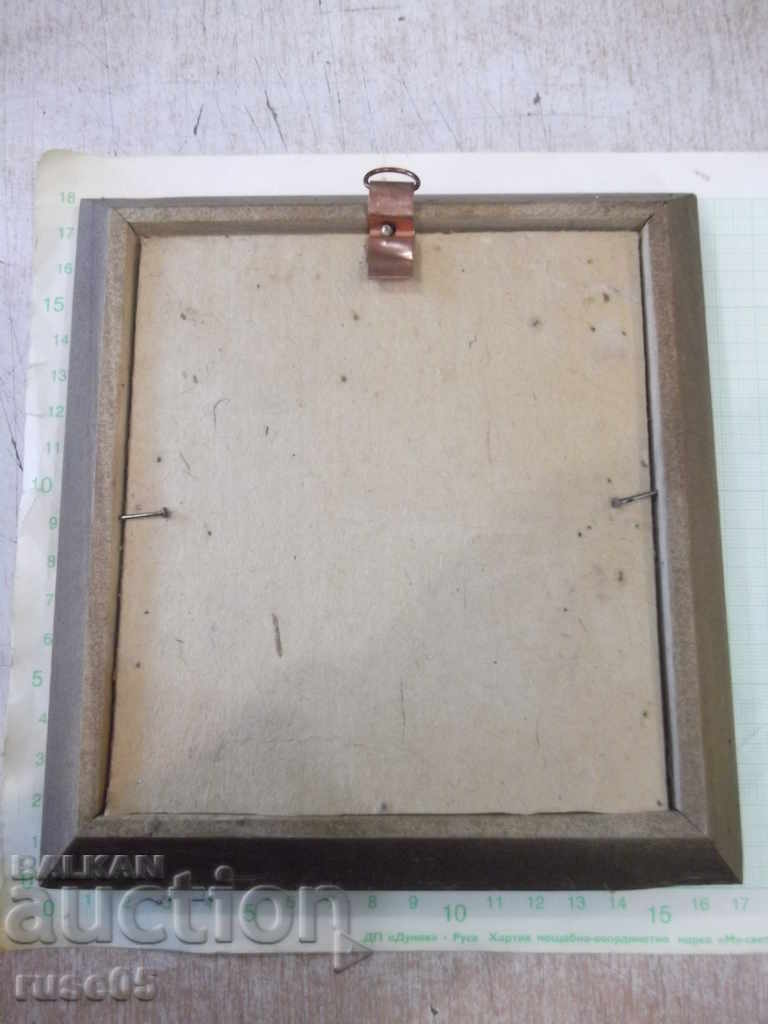 Shells in a wooden frame - 5 Shells in a wooden frame - 5