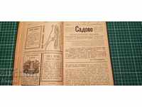 I am selling an old magazine -1902.