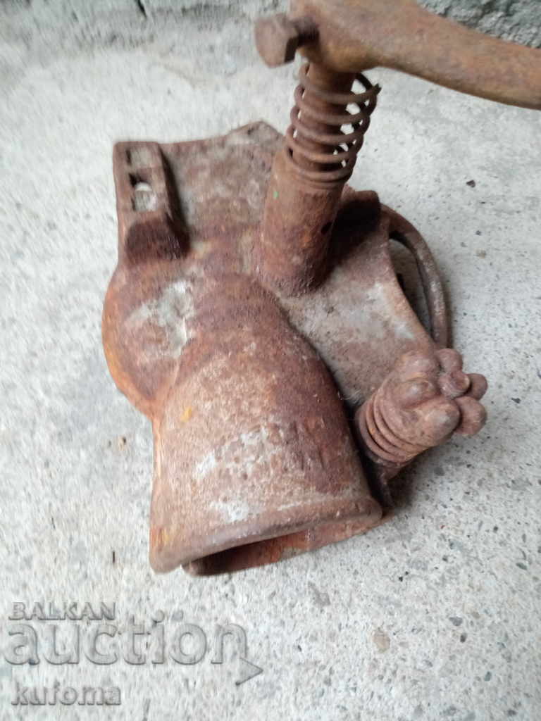 Corn rosette with price 19.99 BGN | € 10.22 Corn rosette with price 19.99 BGN | € 10.22