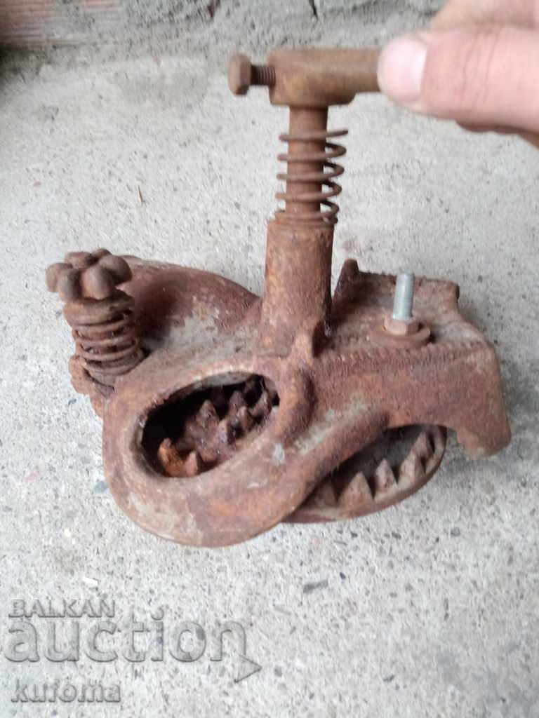 Auction Corn rosette Auction Corn rosette