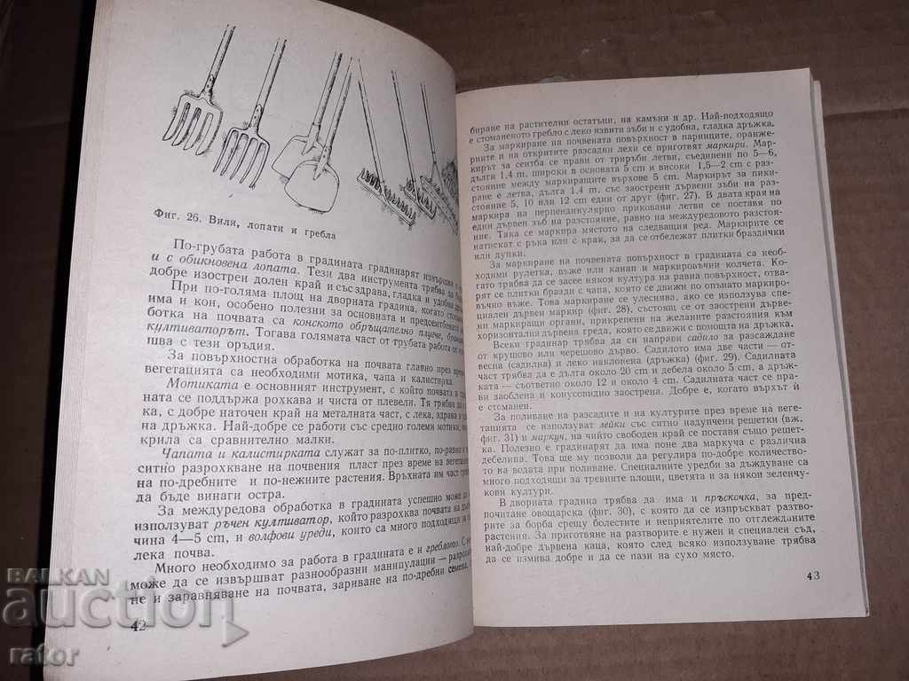 Auction Yard garden M. Nikov 1985 Auction Yard garden M. Nikov 1985