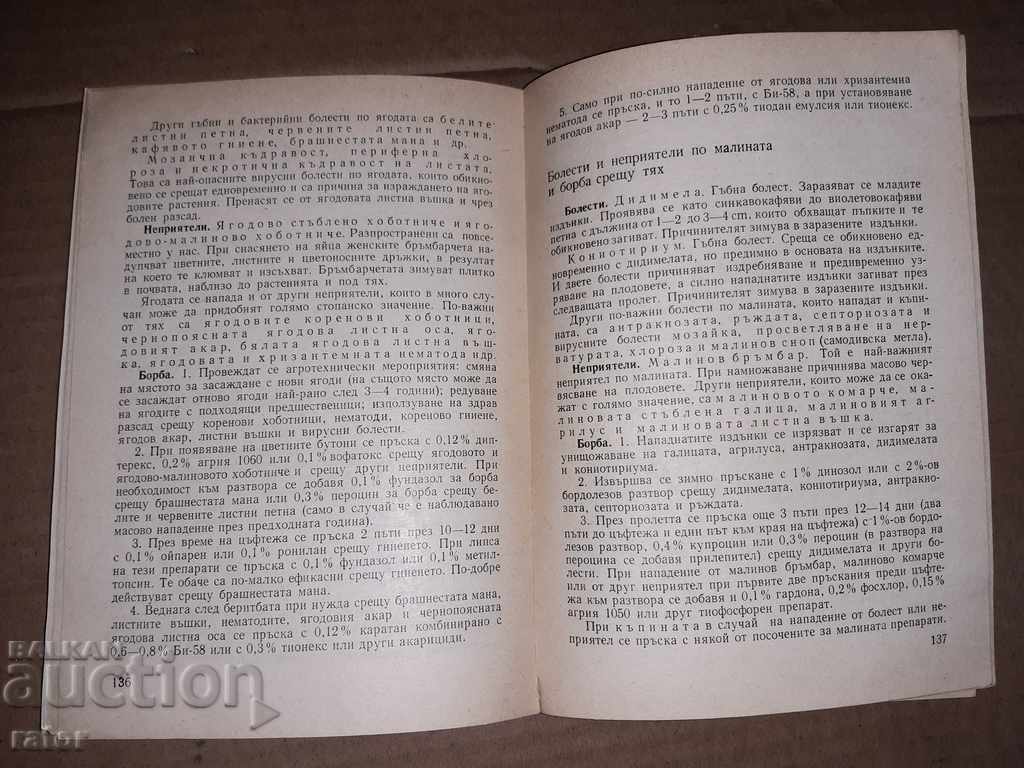 Delivery of Yard garden M. Nikov 1985 Delivery of Yard garden M. Nikov 1985