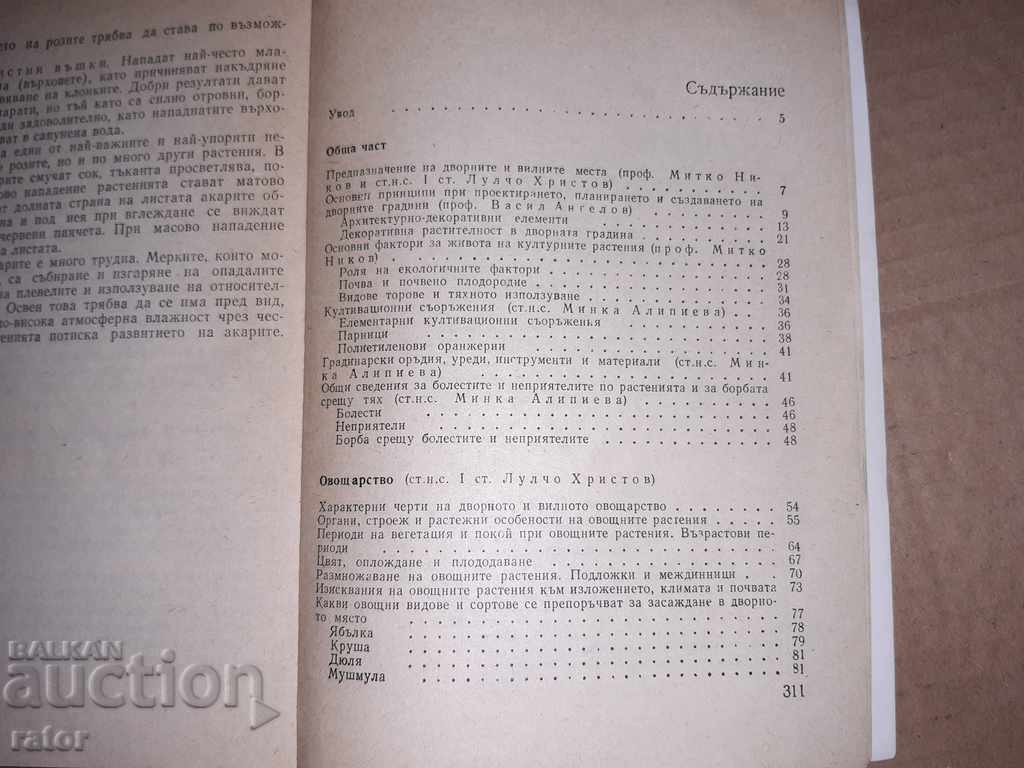 Yard garden M. Nikov 1985 - 5 Yard garden M. Nikov 1985 - 5