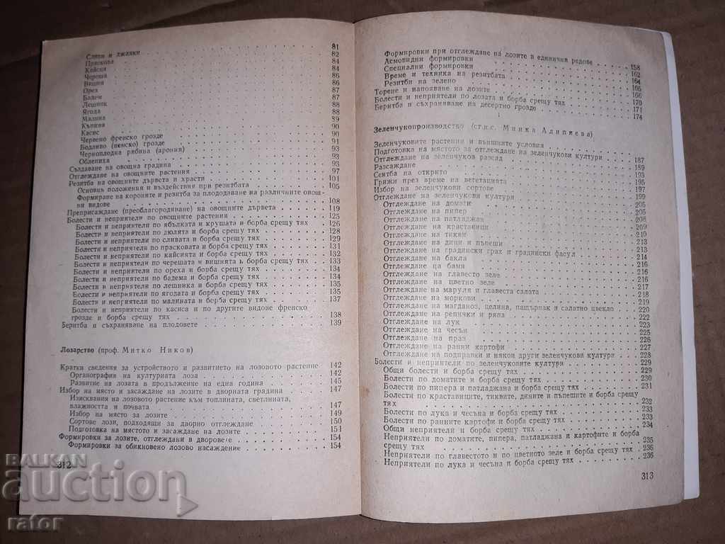 Yard garden M. Nikov 1985 - 6 Yard garden M. Nikov 1985 - 6