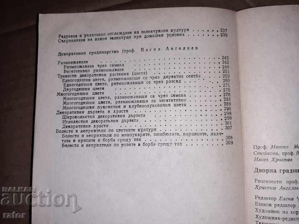 Yard garden M. Nikov 1985 - 7 Yard garden M. Nikov 1985 - 7