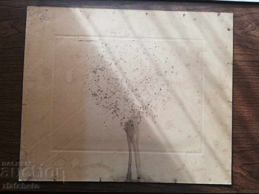 Παλιά φωτογραφία Σκληρό χαρτόνι - 5 Παλιά φωτογραφία Σκληρό χαρτόνι - 5