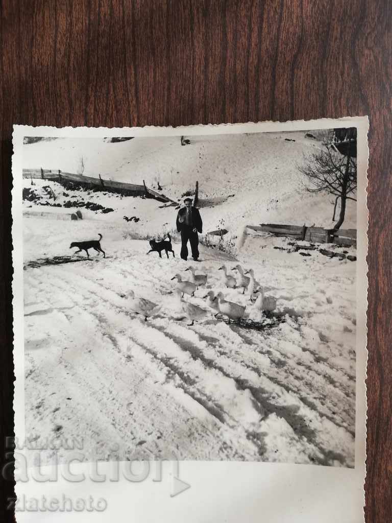 Old photo. Author's photo RR with price 20.00 BGN | € 10.23 Old photo. Author's photo RR with price 20.00 BGN | € 10.23