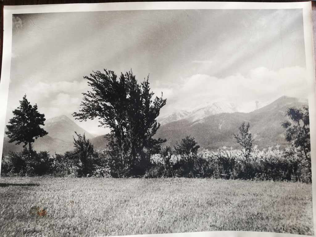 Old photo. Author's photo RR with price 25.00 BGN | € 12.78 Old photo. Author's photo RR with price 25.00 BGN | € 12.78