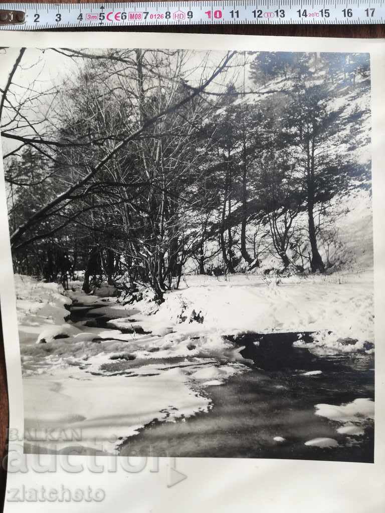 Old photo. Author's photo RR with price 20.00 BGN | € 10.23 Old photo. Author's photo RR with price 20.00 BGN | € 10.23
