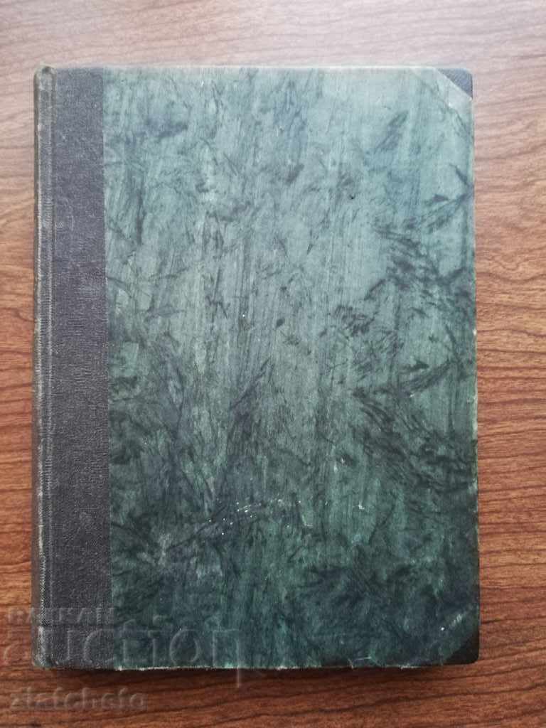 Auction  The bandit's wife - Phototype edition