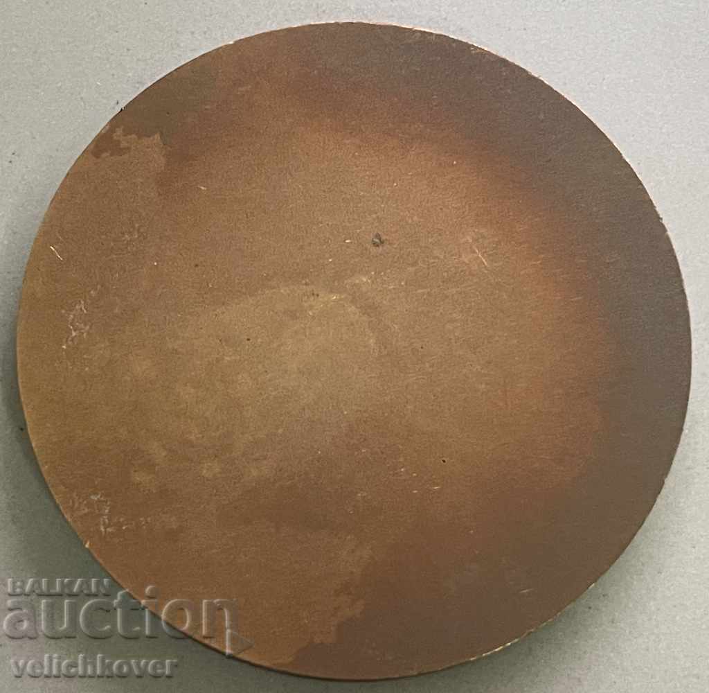 30954 Bulgaria plaque For contribution to the development of TNTM in BNA with price 20.00 BGN | € 10.23 30954 Bulgaria plaque For contribution to the development of TNTM in BNA with price 20.00 BGN | € 10.23