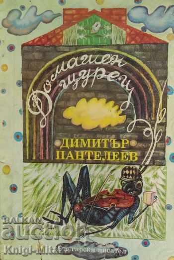 A domestic cricket. Collection for children - Dimitar Panteleev