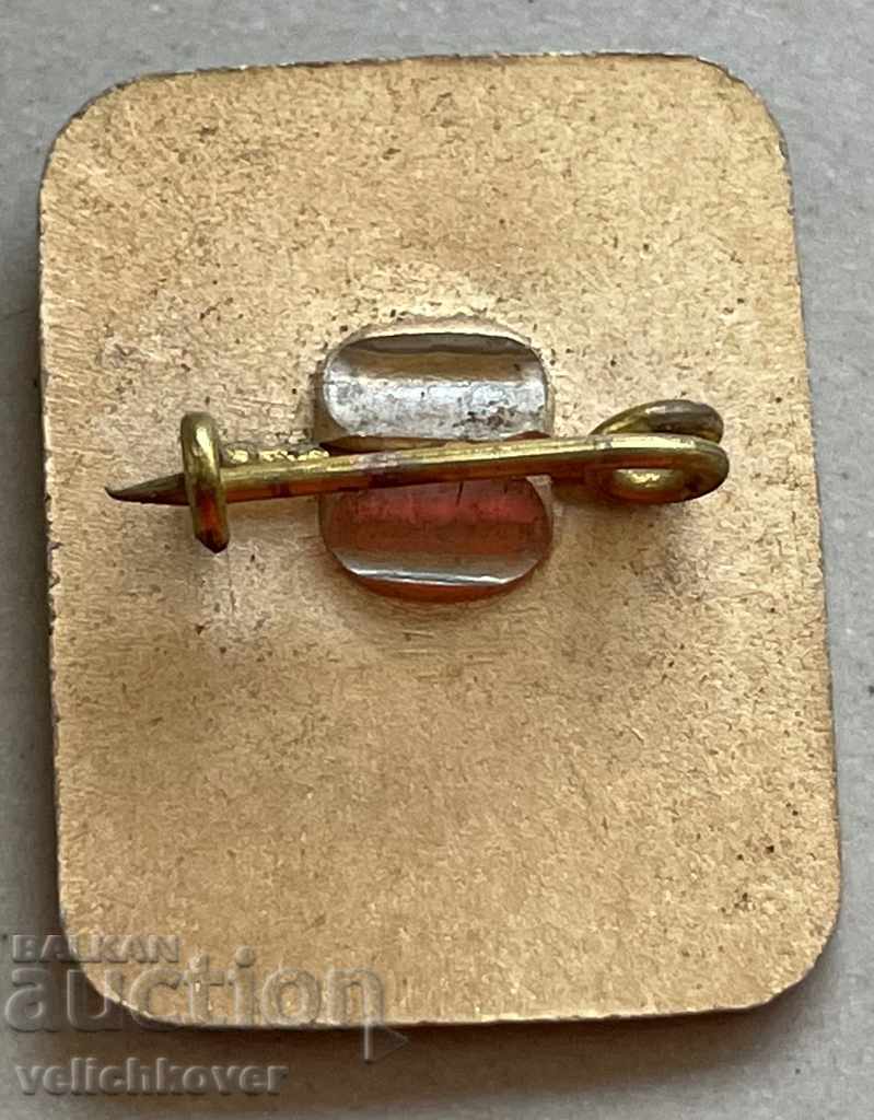 30992 България знак с образа на поета Димчо Дебелянов с цена 3.00 лв. | € 1.53