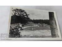 Καρτ ποστάλ Camp Sunny Meadow