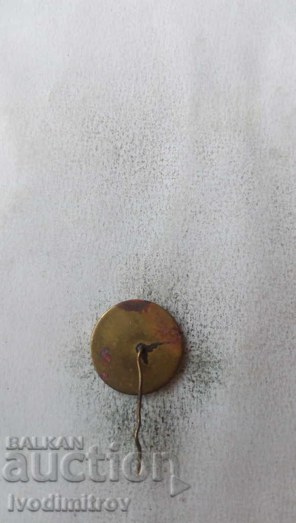 Badge 63 UK de Esperanto Varna 1978 with price 2.65 BGN | € 1.35 Badge 63 UK de Esperanto Varna 1978 with price 2.65 BGN | € 1.35