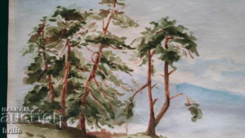 ACUARELA - RHODOPI, AUTOR BULGAR, SEMNAT, DATAT cu preț 90.00 BGN | € 46.02 ACUARELA - RHODOPI, AUTOR BULGAR, SEMNAT, DATAT cu preț 90.00 BGN | € 46.02