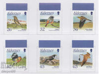 2004. Alderney. Αποδημητικά πουλιά - Σπουργίτια.