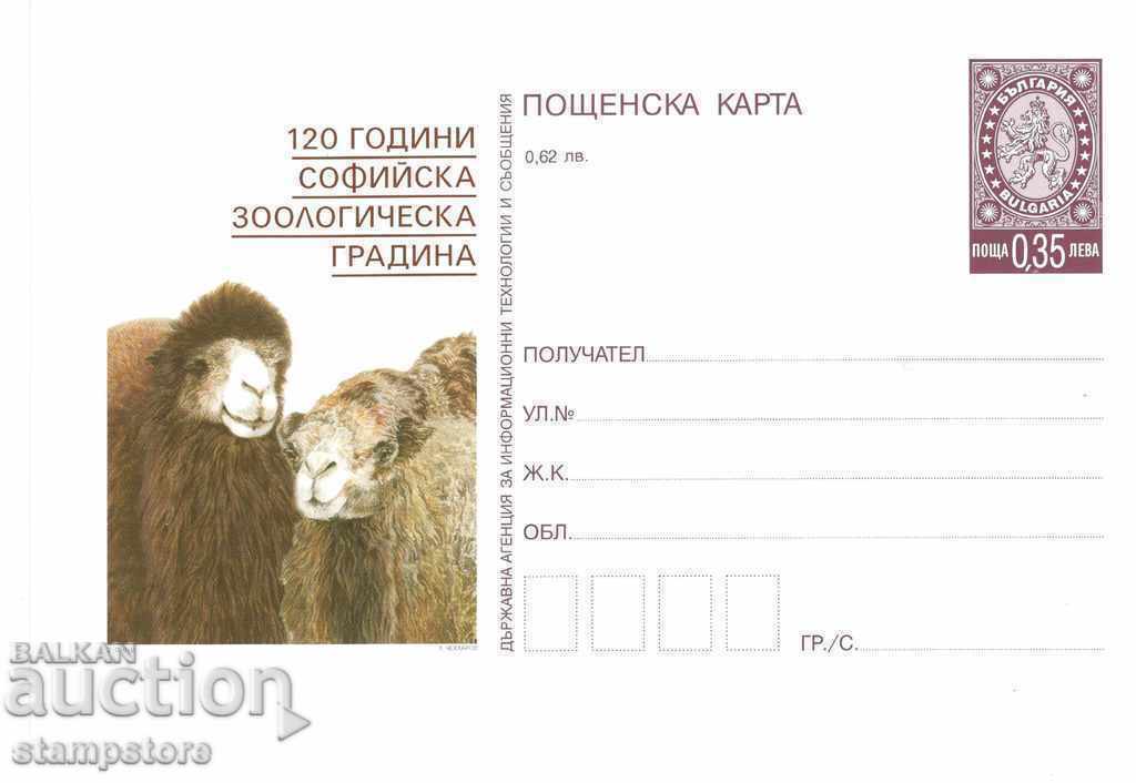 Postcard 120 g Sofia Zoo