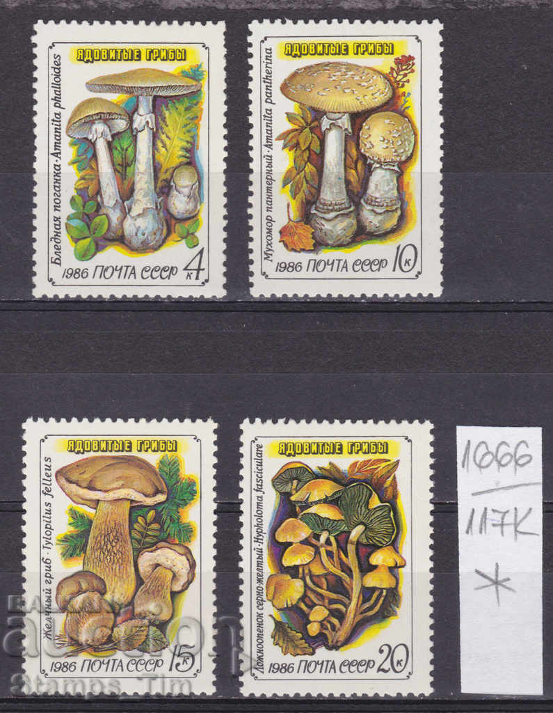 117К1666 / СССР 1986 Ρωσία Flora Mushrooms *