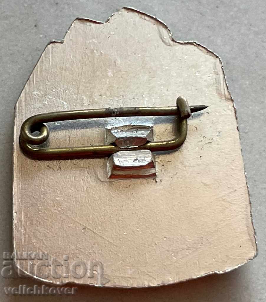 31024 България знак с образа на Христо Ботев с цена 3.00 лв. | € 1.53 31024 България знак с образа на Христо Ботев с цена 3.00 лв. | € 1.53