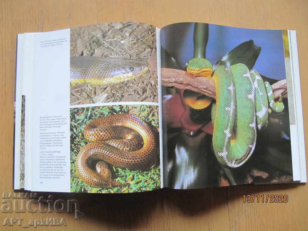 Παράδοση Mit gespaltener Zunge (στα γερμανικά) "Λειψία Έκδοση". Παράδοση Mit gespaltener Zunge (στα γερμανικά) "Λειψία Έκδοση".