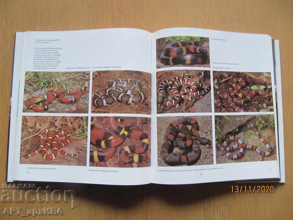 Mit gespaltener Zunge (στα γερμανικά) "Λειψία Έκδοση". - 5 Mit gespaltener Zunge (στα γερμανικά) "Λειψία Έκδοση". - 5