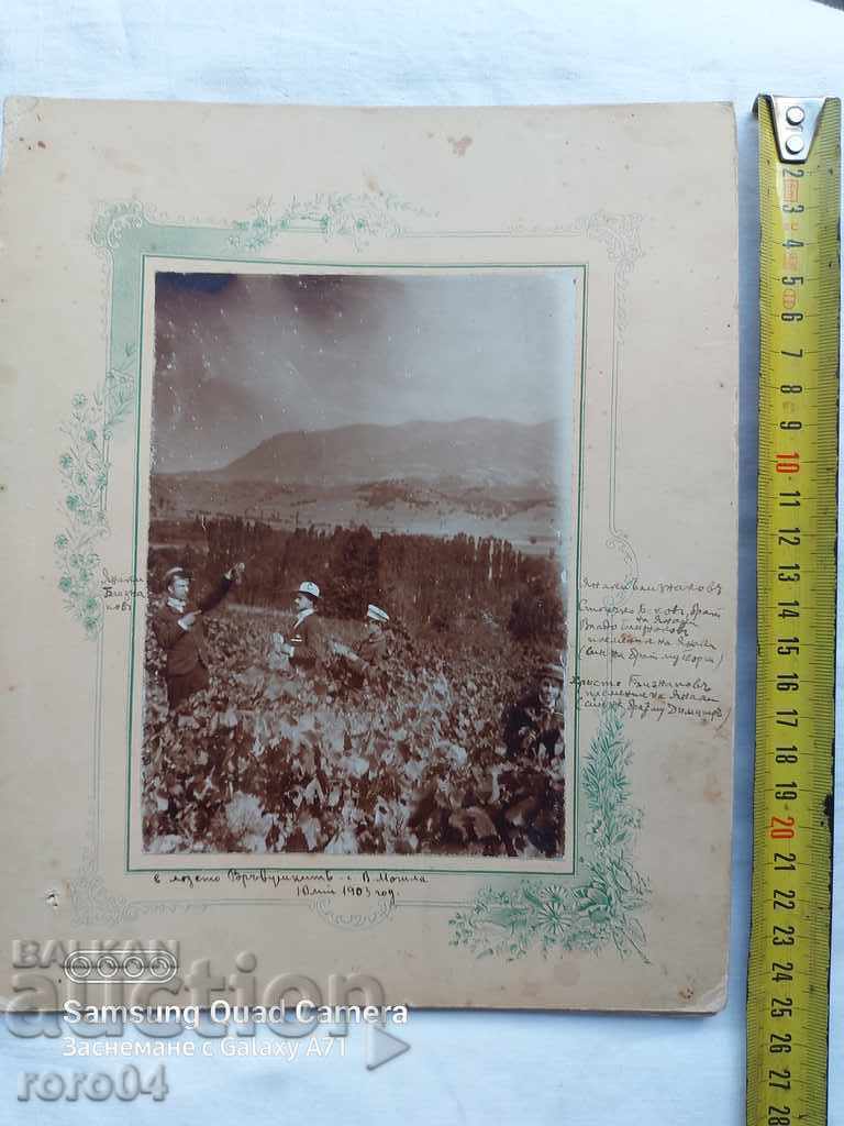 Auction  VINEYARD - HIGH MUNICIPALITY VILLAGE - 1903
