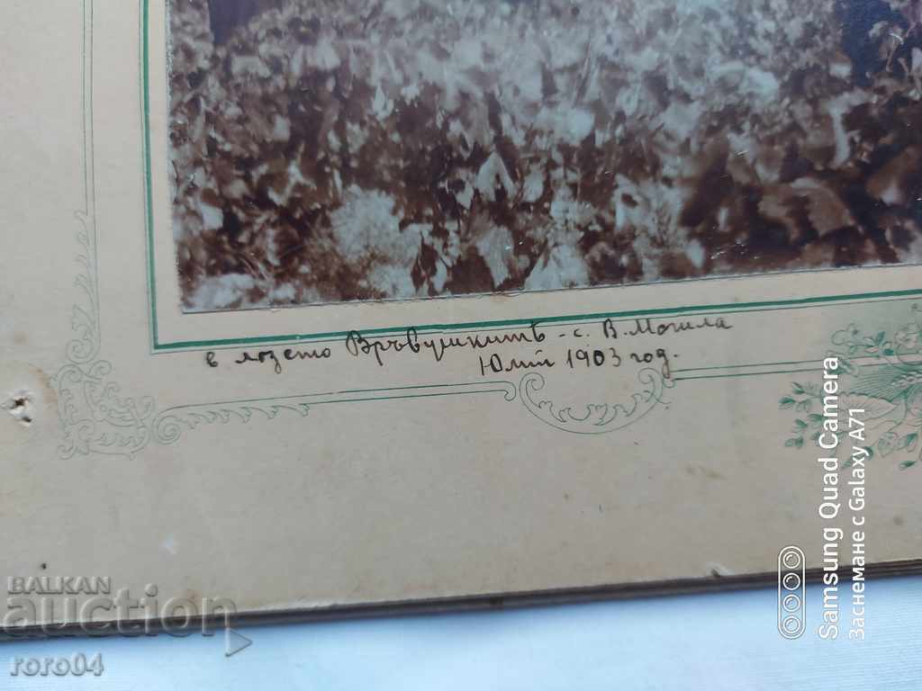 VINEYARD - HIGH MUNICIPALITY VILLAGE - 1903 - 5 VINEYARD - HIGH MUNICIPALITY VILLAGE - 1903 - 5