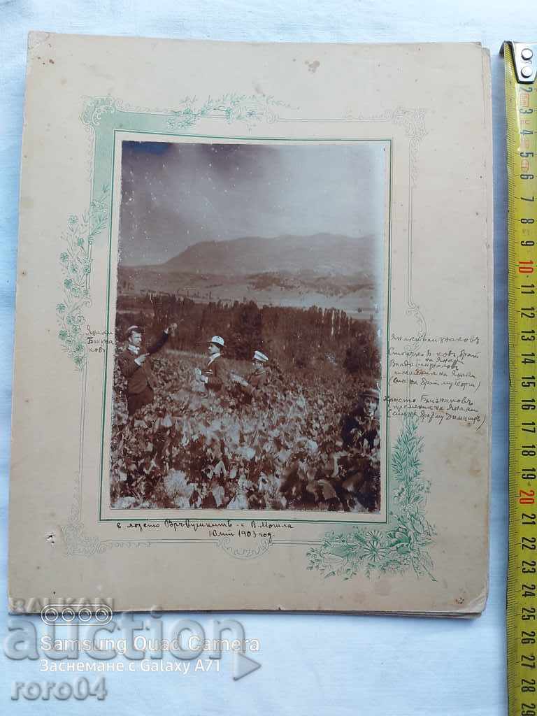 VINEYARD - HIGH MUNICIPALITY VILLAGE - 1903 - 7 VINEYARD - HIGH MUNICIPALITY VILLAGE - 1903 - 7