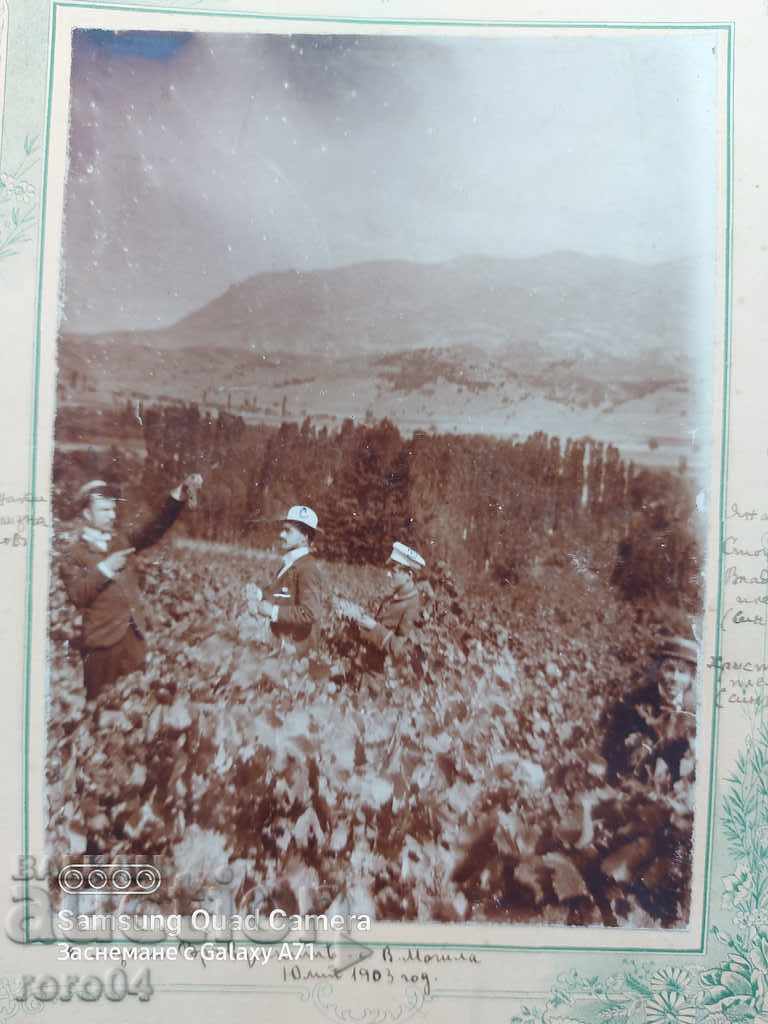 VINEYARD - HIGH MUNICIPALITY VILLAGE - 1903