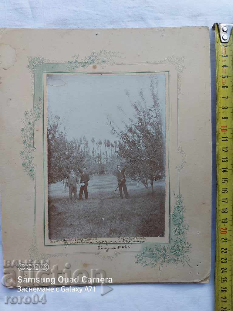 Auction  GERMAN - PLUM GARDEN - 1902