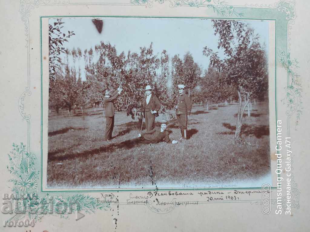 GERMANA - PLUM GARDEN - 1903 cu preț € 12.99 | 25.41 BGN