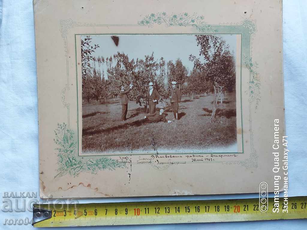 Auction GERMAN - PLUM GARDEN - 1903 Auction GERMAN - PLUM GARDEN - 1903