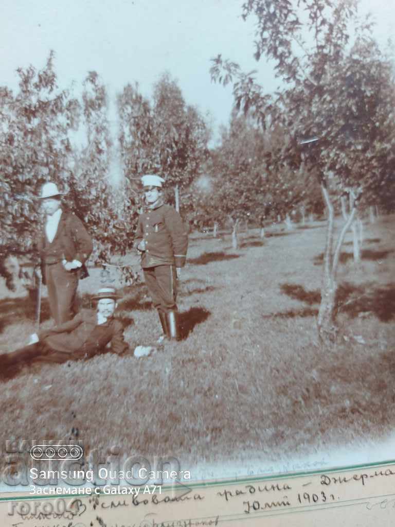 Livrarea GERMANA - PLUM GARDEN - 1903